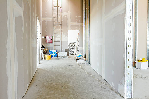 Best Basement Mold Removal  in Glencoe, MN